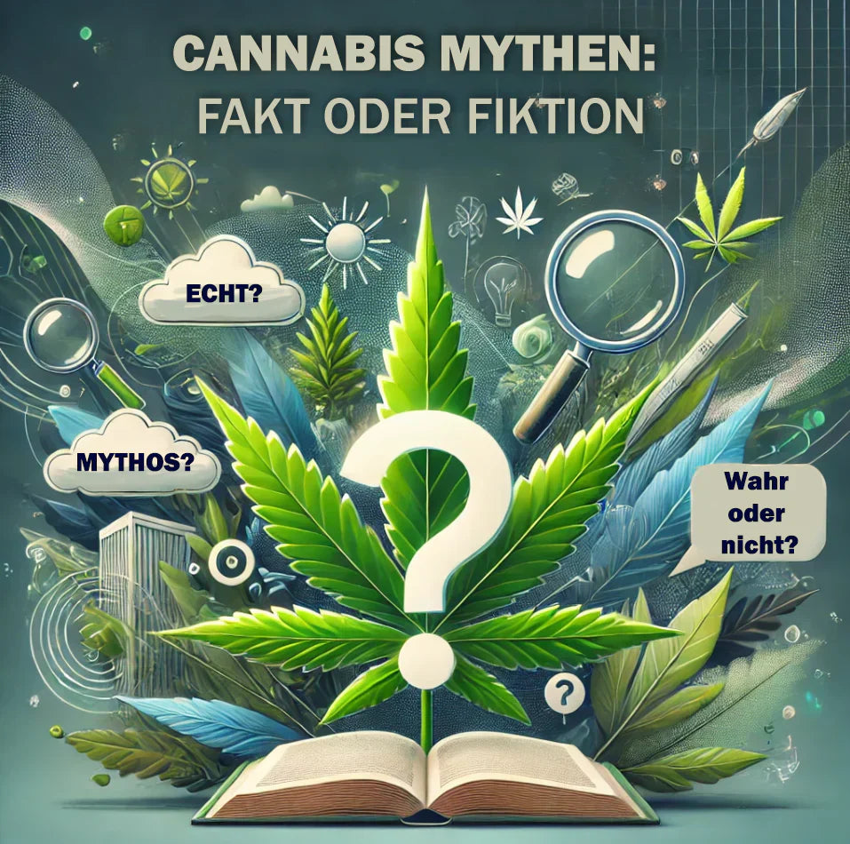 Top 9 Mythen und Missverständnisse über Cannabis (+1 Bonusfakt, weil wir dich mögen)