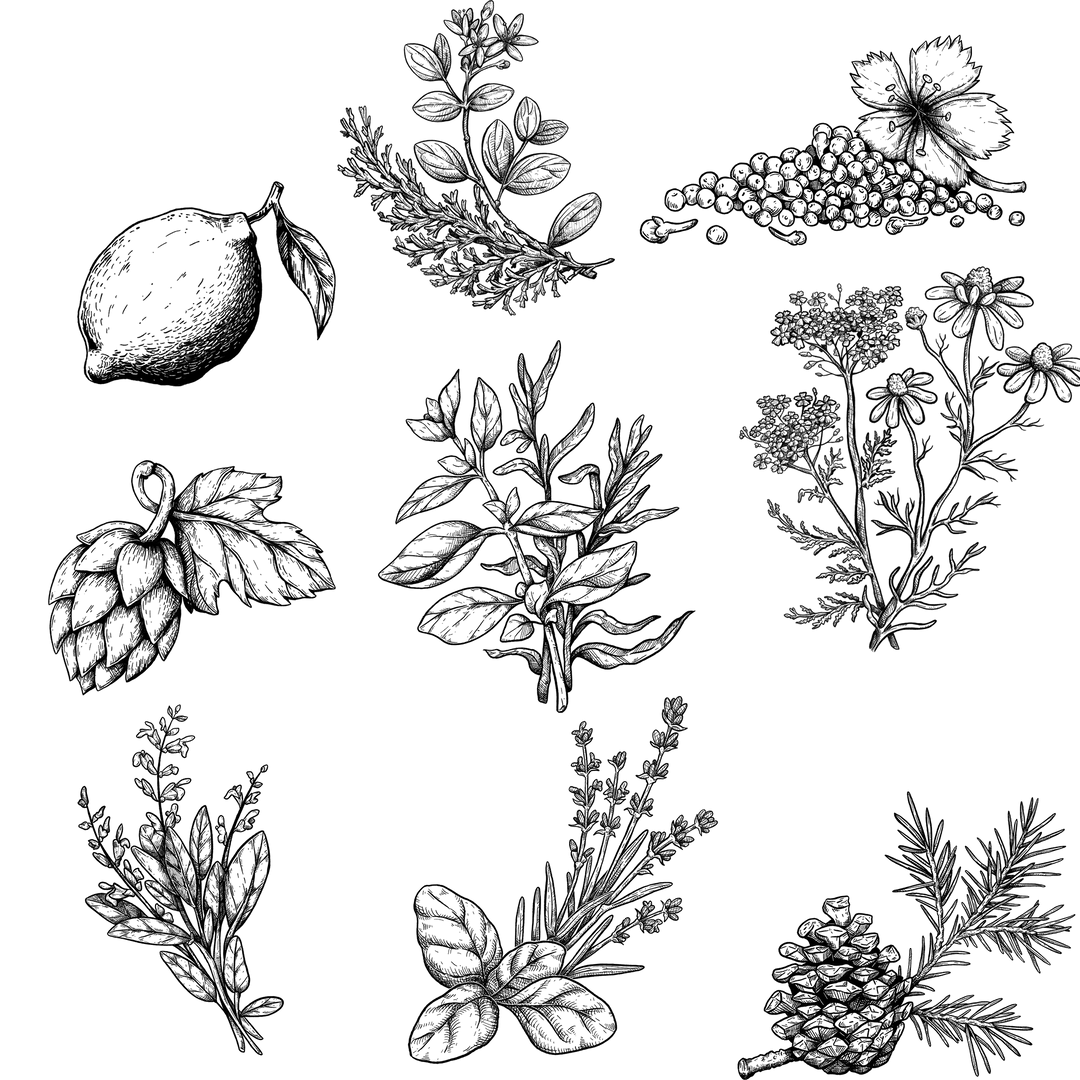 Terpene: Was ist das?